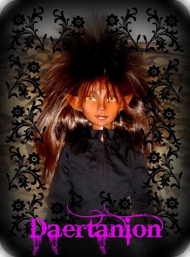 Daer with Face Up