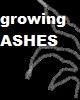 Growing Ashes