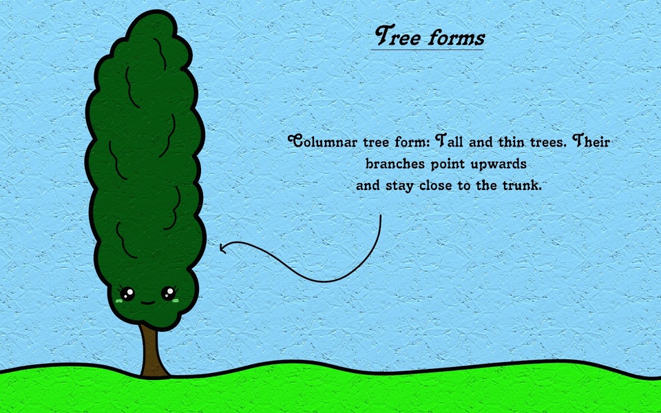 Columnar - Tree Form