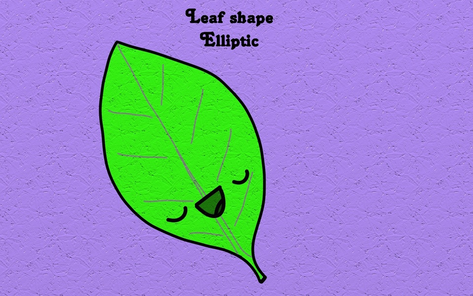 Elliptic