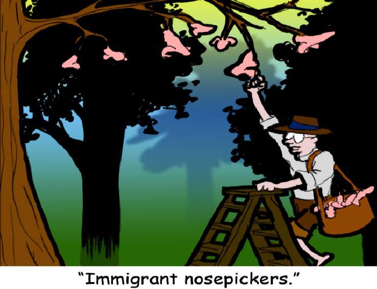 Nose pickers