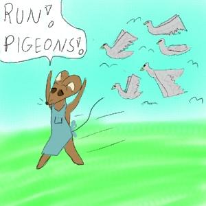 Pigeons