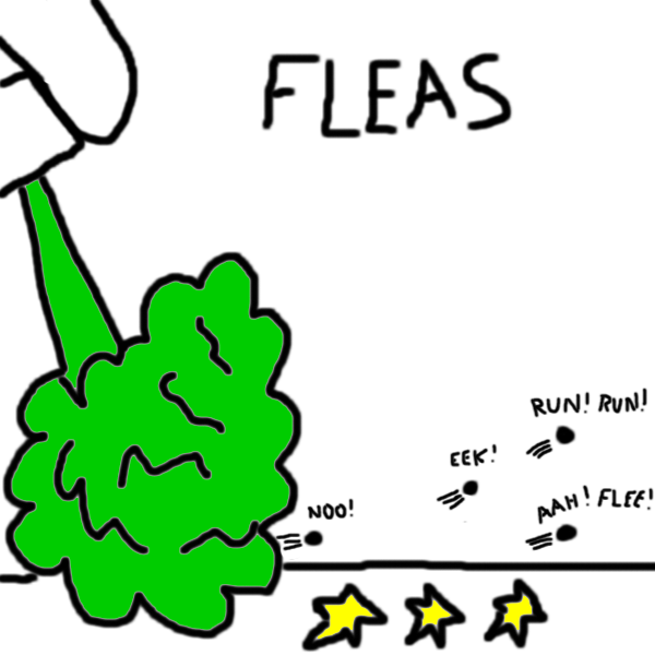 FLEAS