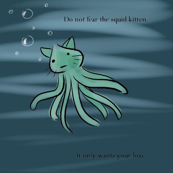 squid kitten