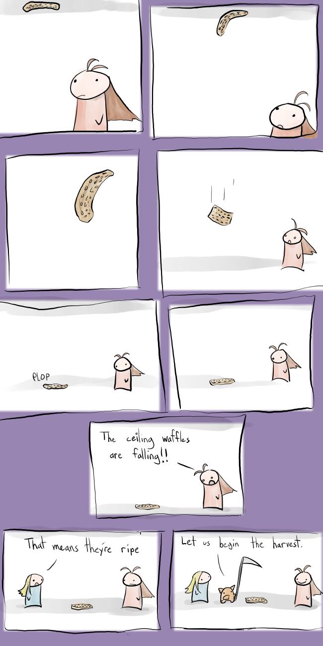 79. ceiling waffles