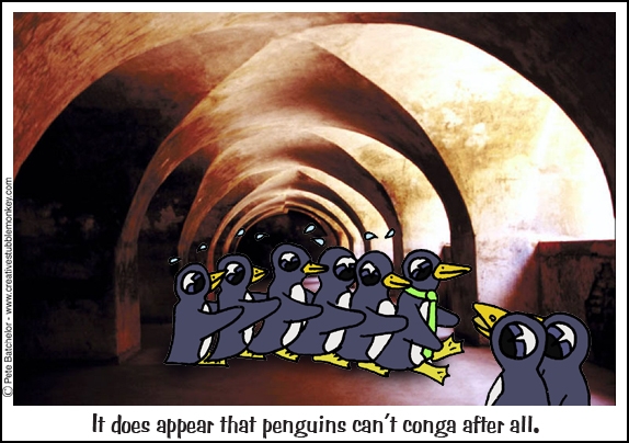 Lets all do the conga!