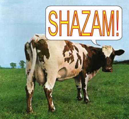 Some Cows Say Shazam