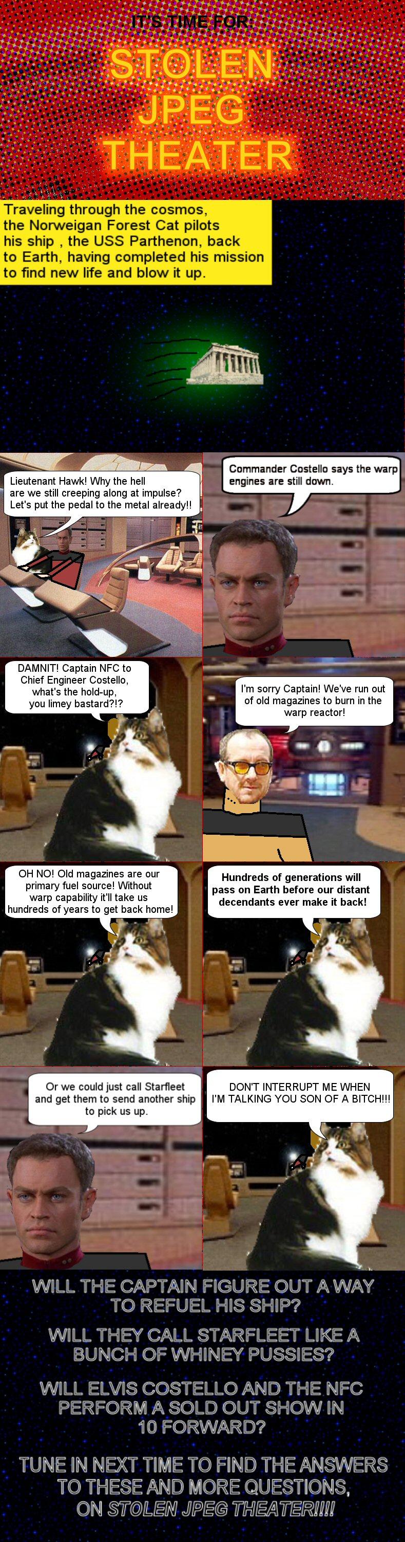 Stolen JPEG Theater: Norweigan Forest Cat in Space! Part One