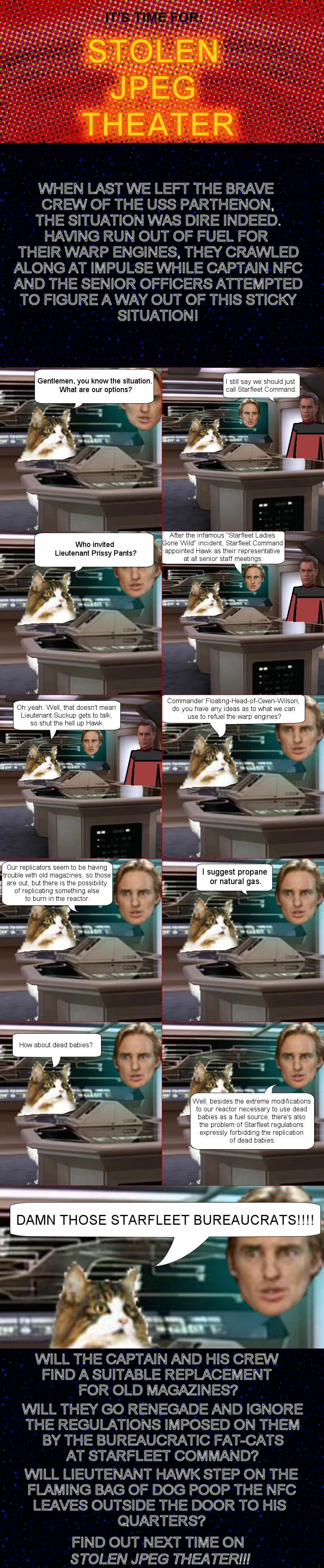 Stolen JPEG Theater: Norweigan Forest Cat in Space! Part Two