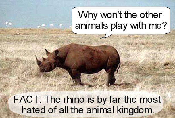 I Hate Rhinos 6: The Loneliest Animal