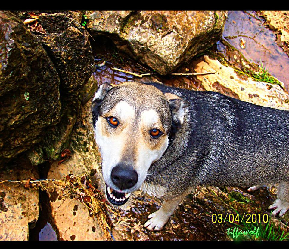 Question of the week