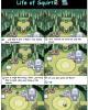 Go to 'Life of Squirtle' comic