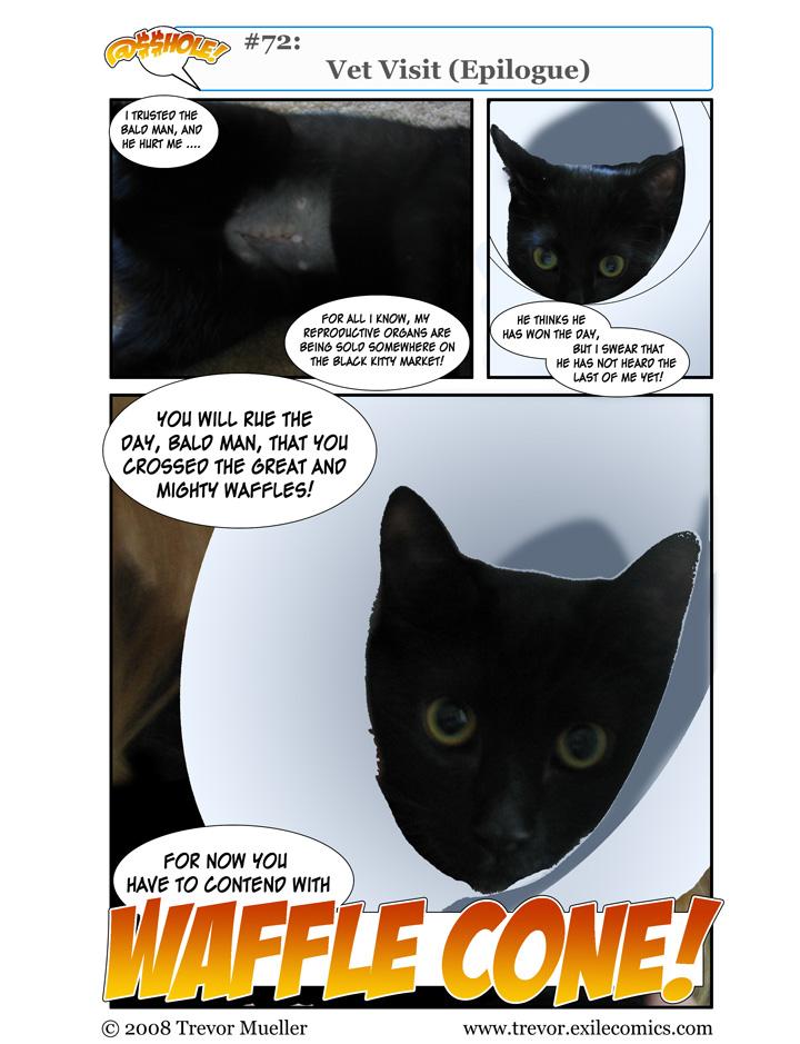 @$$hole! #72:  Vet Visit Epilogue