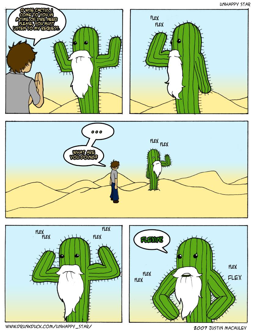  Return of the Wise Cactus