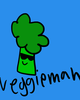 the adventures of veggie